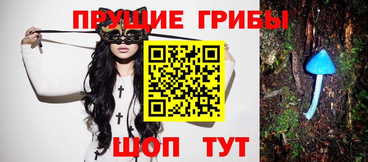 Ступино  Псилоцибиновые грибы прущие грибы  Вход с VPN  Галлюциногенные грибы ЛСД 
